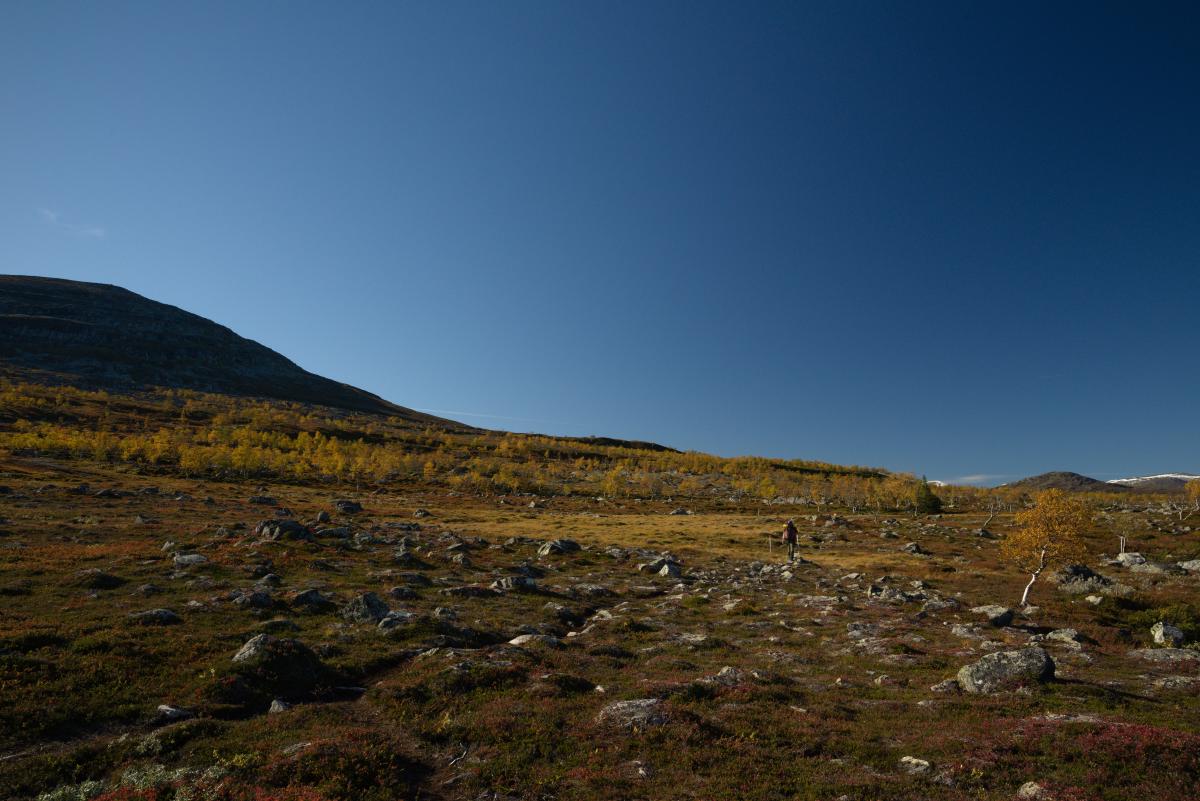 DSC09705.jpg