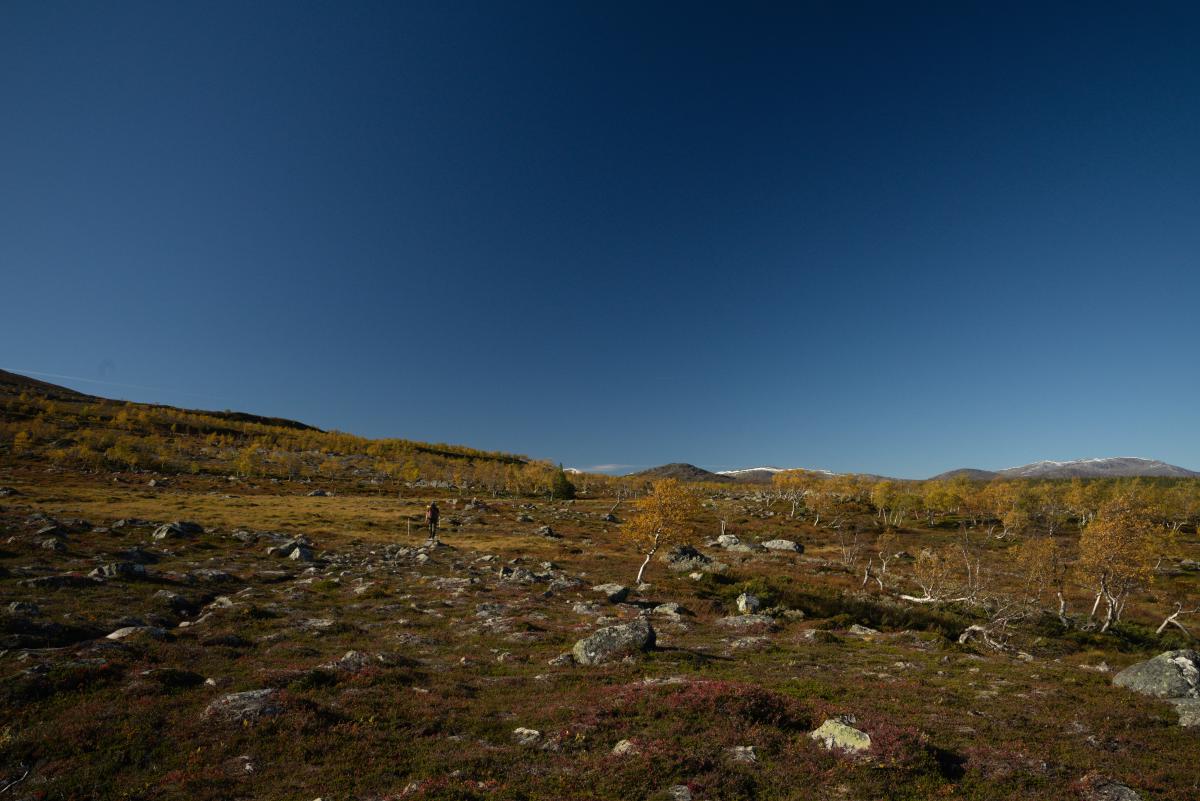 DSC09706.jpg