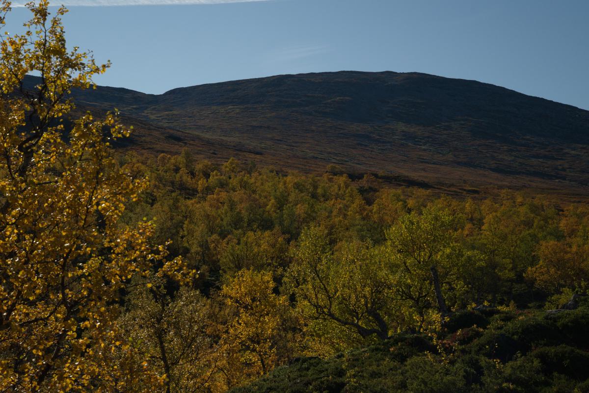 DSC09708.jpg