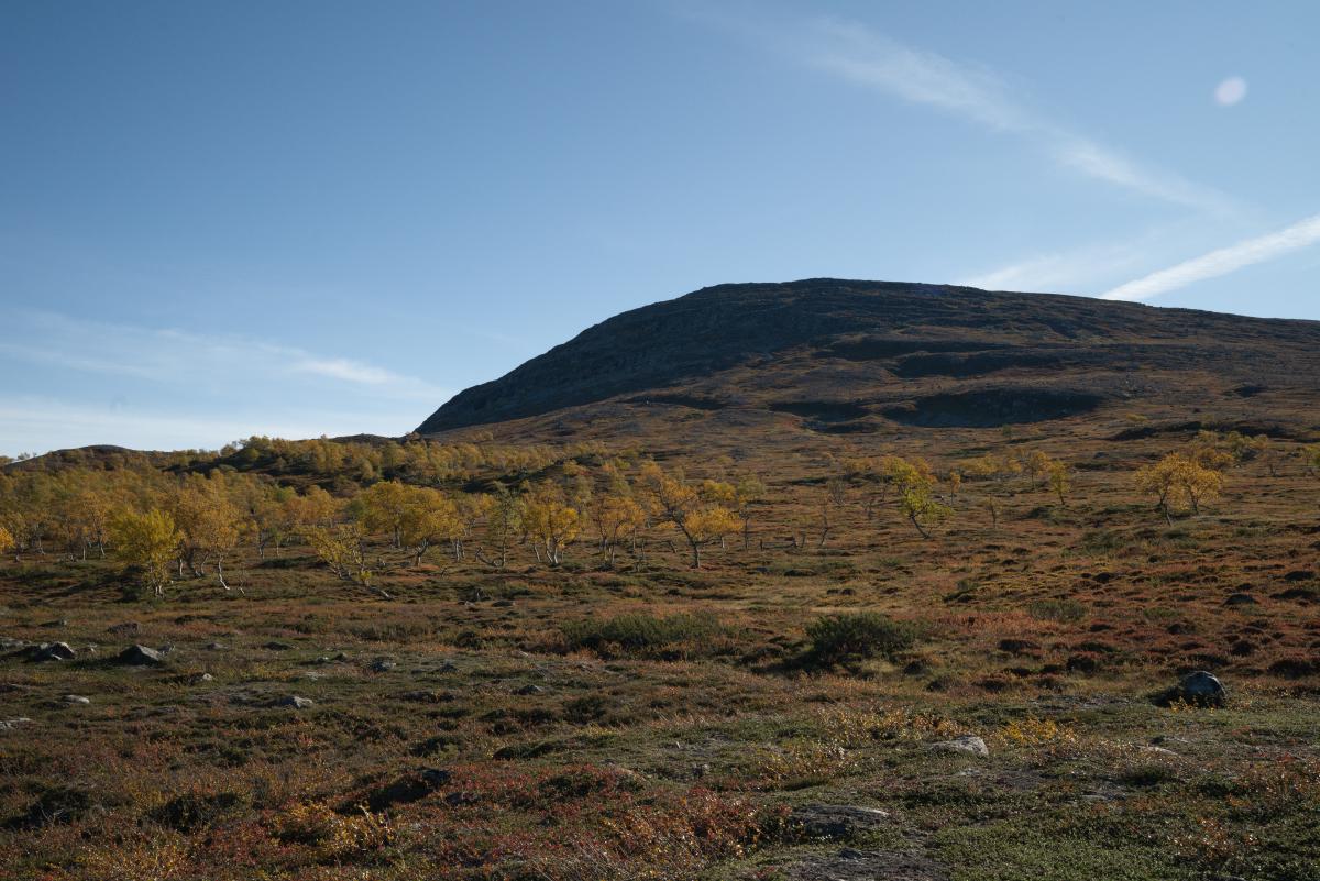 DSC09710.jpg