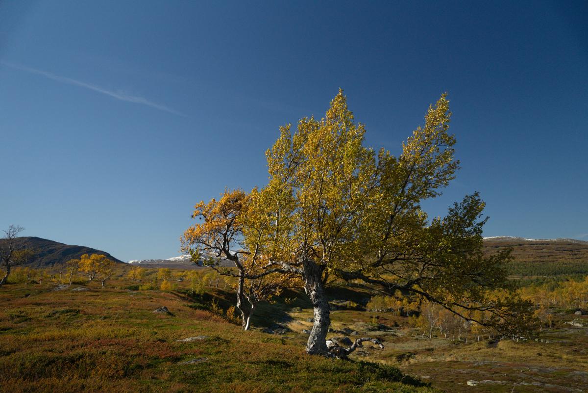 DSC09715.jpg