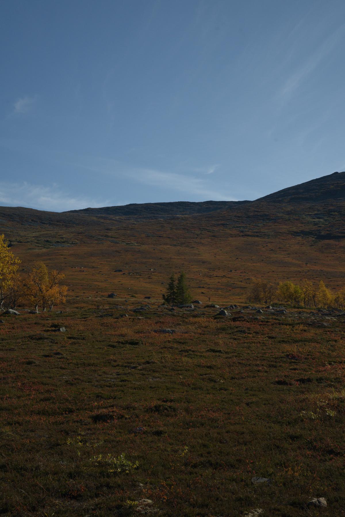 DSC09720.jpg