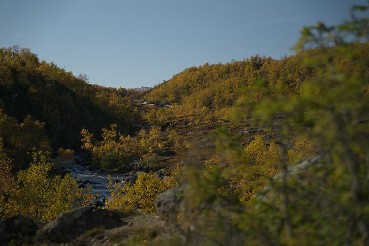 DSC09751.jpg