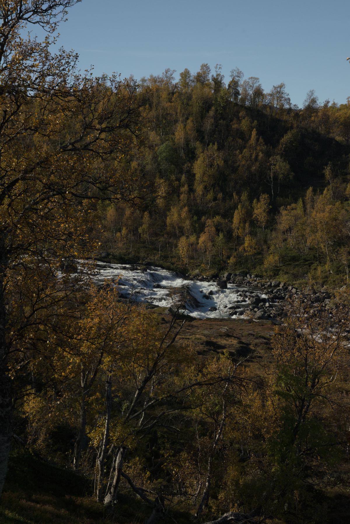 DSC09757.jpg