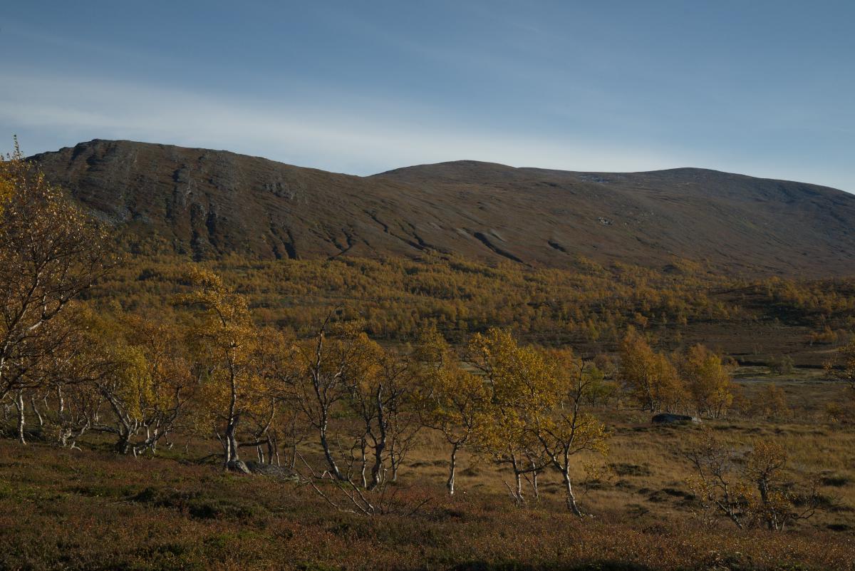 DSC09759.jpg