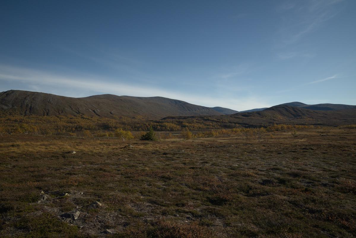 DSC09760.jpg