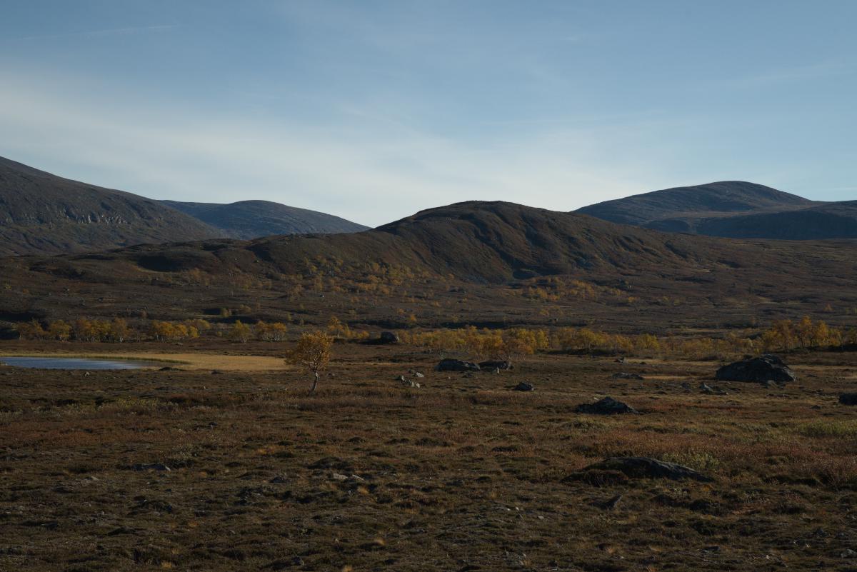DSC09762.jpg