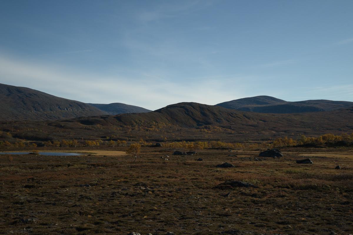 DSC09763.jpg