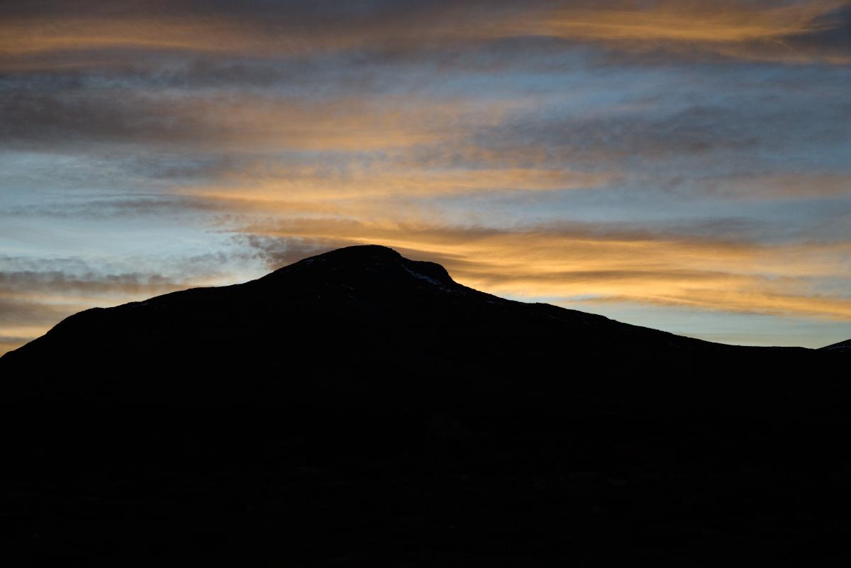 DSC09767.jpg