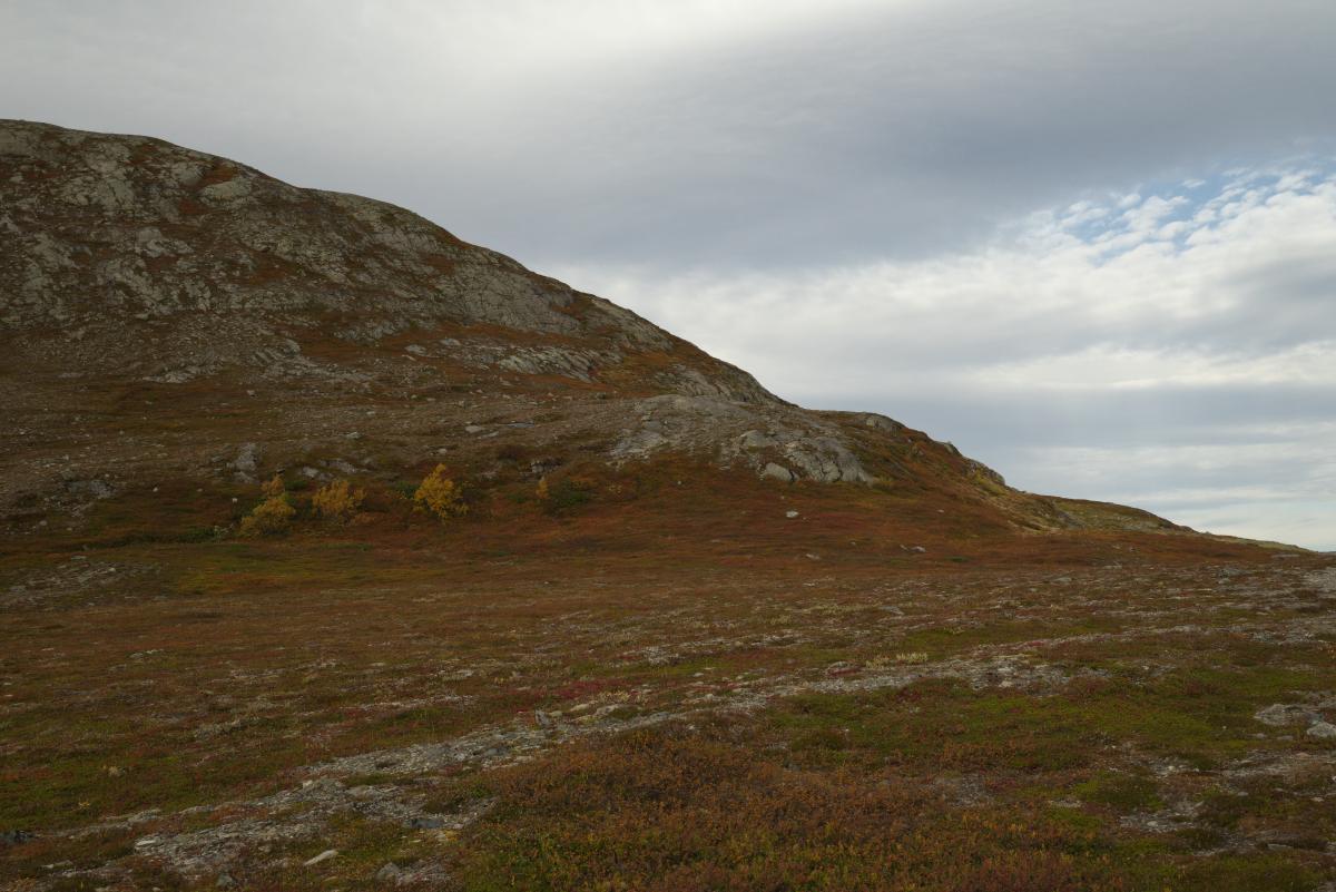DSC09774.jpg