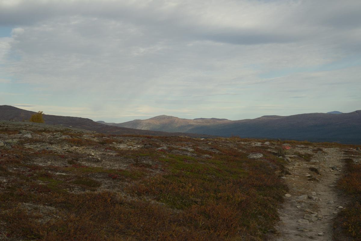 DSC09776.jpg