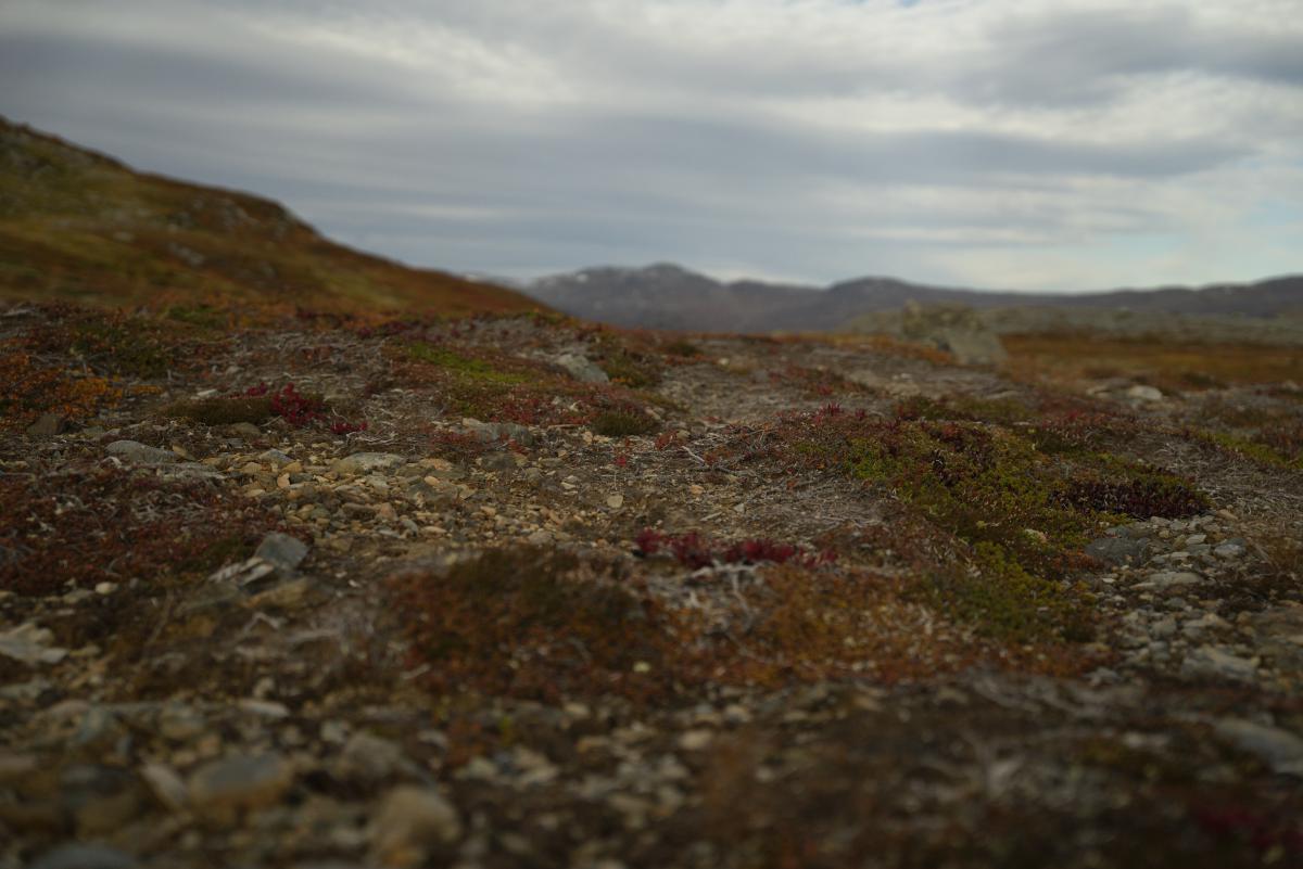 DSC09779.jpg