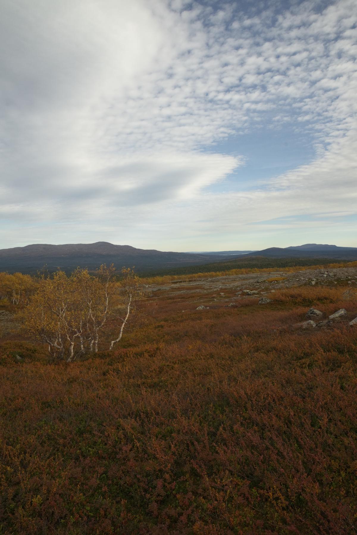 DSC09781.jpg