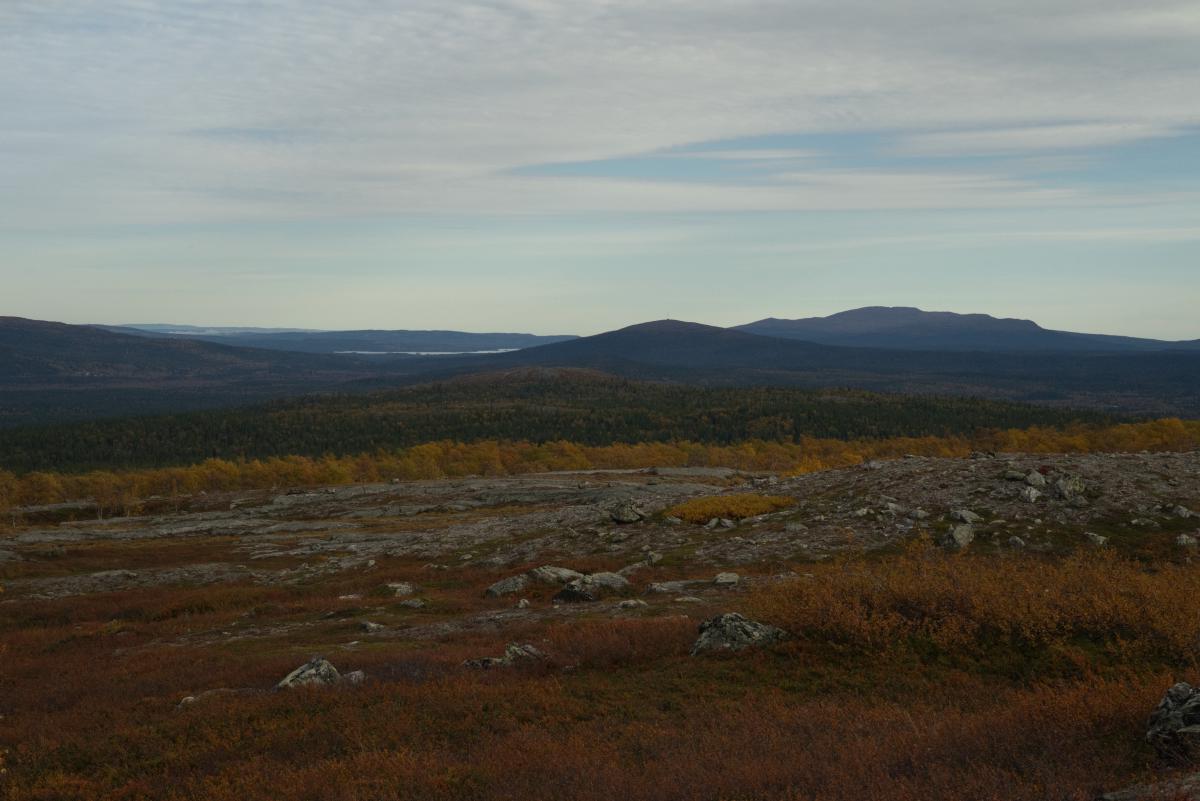DSC09782.jpg