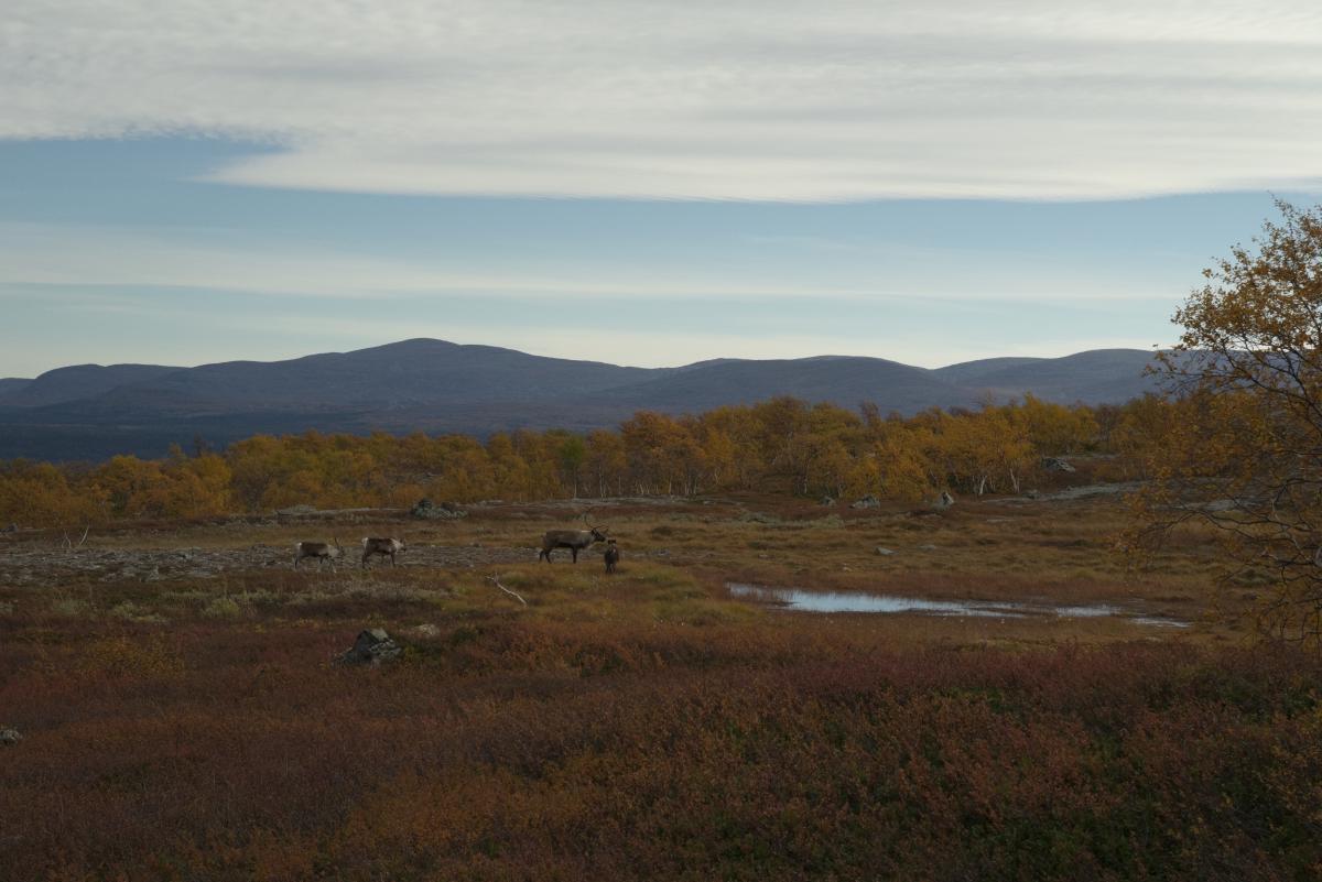 DSC09785.jpg