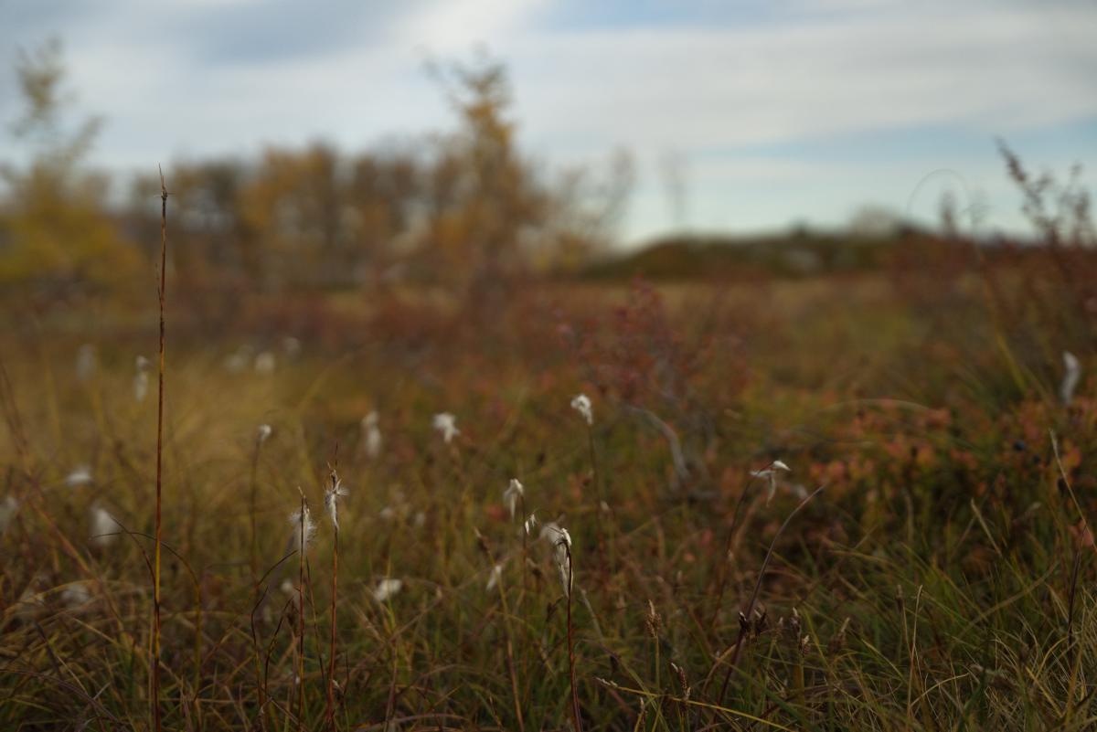 DSC09792.jpg