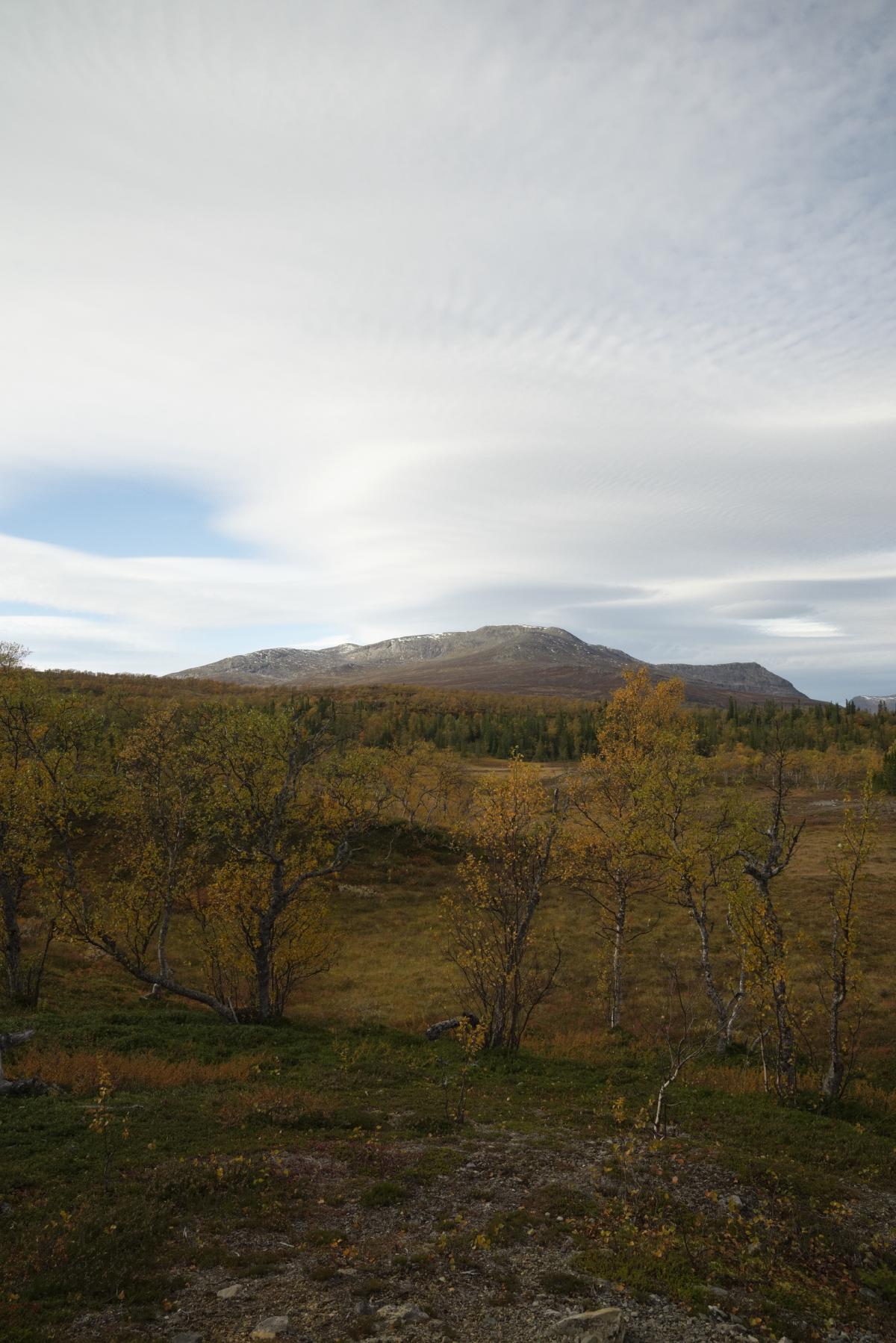 DSC09793.jpg